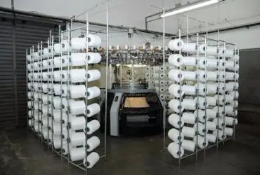 1506172209269275 400